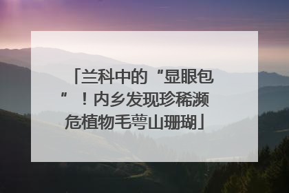 兰科中的“显眼包”！内乡发现珍稀濒危植物毛萼山珊瑚